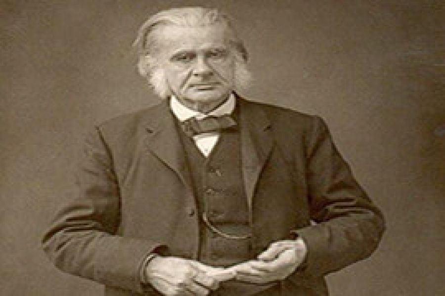 چرا پیپ تدخین کنیم