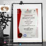 مراسم سال نو میلادی در پاسارگاد تاباک 4 4 1