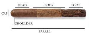 آناتومی سیگار برگ Anatomy Of Cigar
