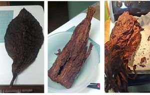 Home Blending 1 Home Blending