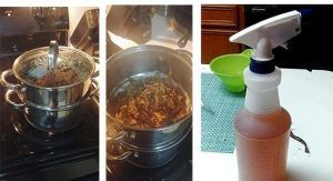 Home Blending 2 Home Blending