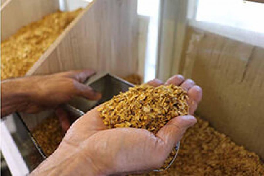 نه به توتون سیگار فله ای متفرقه !