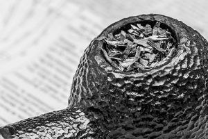 نبایدهای ورود به دنیای پیپ و توتون