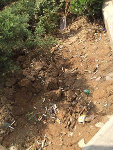 پویش نه به سیگارت 5 پویش نه به سیگار