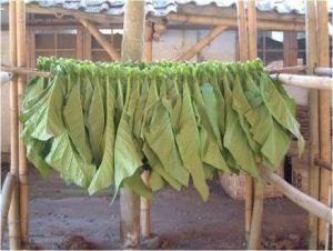 100 اصطلاح رایج در دنیای پیپ (بر اساس حروف الفبا) 4 African Block Meerschaum :