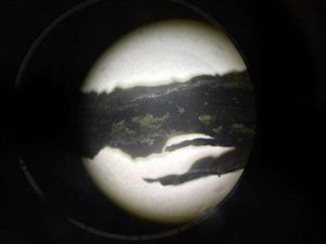 نمای نزدیک !