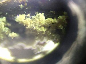 نمای نزدیک !