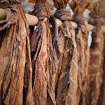 100 اصطلاح رایج در دنیای پیپ (بر اساس حروف الفبا) 39 Curing