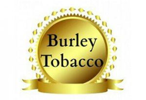 مختصری درباره توتون برلی