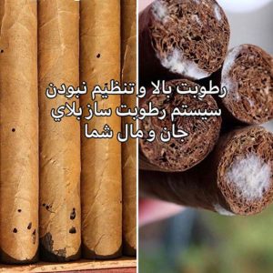 جعبه مخصوص نگهداری سیگاربرگ 2 جعبه مخصوص نگهداری سیگاربرگ