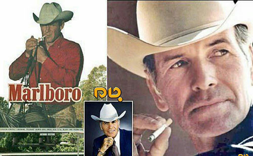 درگذشت باب نوریس