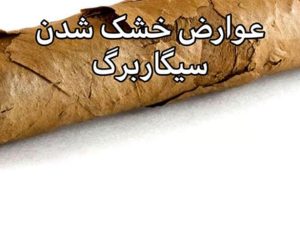 جعبه مخصوص نگهداری سیگاربرگ 3 جعبه مخصوص نگهداری سیگاربرگ