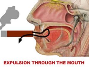 ده راهکار لذت از سیگاربرگ 5 3 1