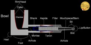 اصطلاحاتی رایج درباره پیپ