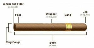 cigar13