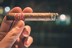 cigarbarg 5