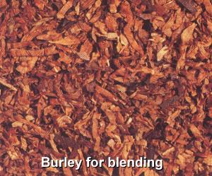 انواع توتون پیپ 4 انواع توتون پیپ