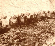 تاریخچه دخانیات ایران 2 تاریخچه دخانیات ایران