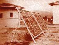 تاریخچه دخانیات ایران 3 تاریخچه دخانیات ایران