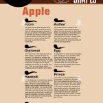 انواع پیپ از نظر شکل ظاهری 28 pipe guide 03 copy