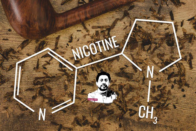 معجزه نیکوتین در دنیای توتون پیپ !