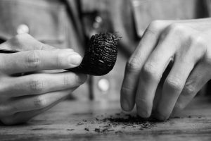 تازه واردان به دنیای پیپ