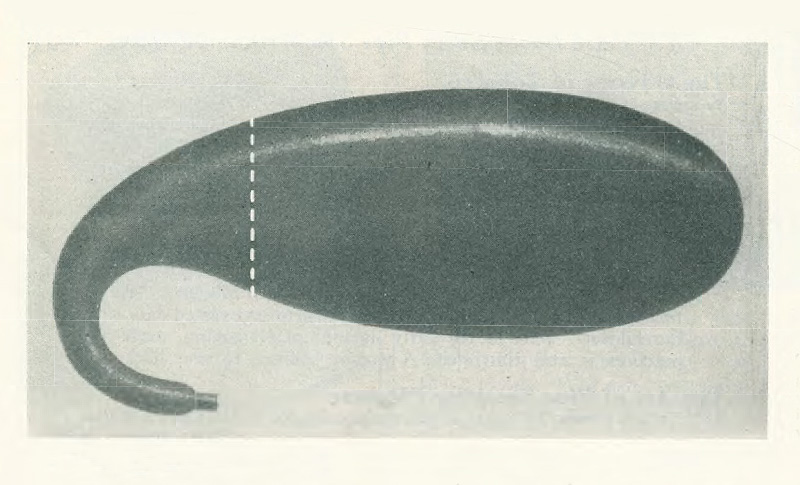 مهندسی پیپ کالاباش