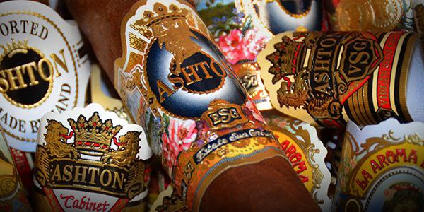 باندرول سیگاربرگ، پاسارگاد تاباک، ماسترو رحیمی