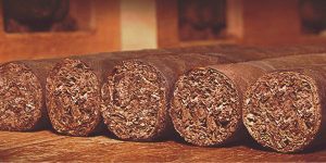 سازندگان و کارخانه‌های مطرح سیگاربرگ در جهان، نیکاراگوئه، دومینیکن، کوبا، پاسارگاد تاباک، ماسترو رحیمی