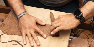 آیا سیگاربرگ‌های تازه رول شده بهتر هستند، پاسارگاد تاباک، ماسترو رحیمی