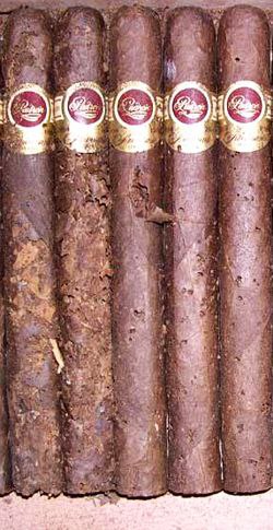 سوسک سیگاربرگ و تنباکو واز بین بردن آنها 24 سوسک سیگاربرگ و تنباکو و از بین بردن آنها، تنباکو، سیگاربرگ، پاسارگاد تاباک، ماسترو رحیمی