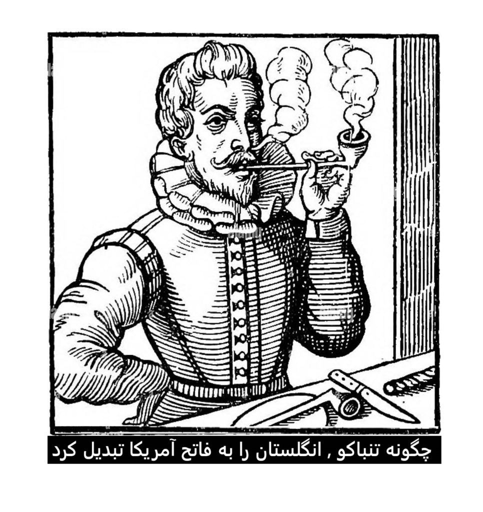 چگونه تنباکو انگلستان را به فاتح آمریکا تبدیل کرد - تاریخ تنباکو