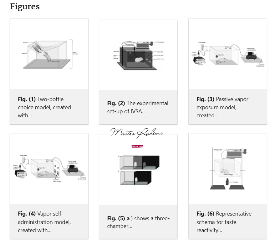 بررسی تأثیر نوع منبع اشتعال بر جذب نیکوتین ، تغییرات مولکولی و پیامدهای رفتاری در مدل‌های جاندار
