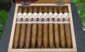 PCA 2025 داویدوف