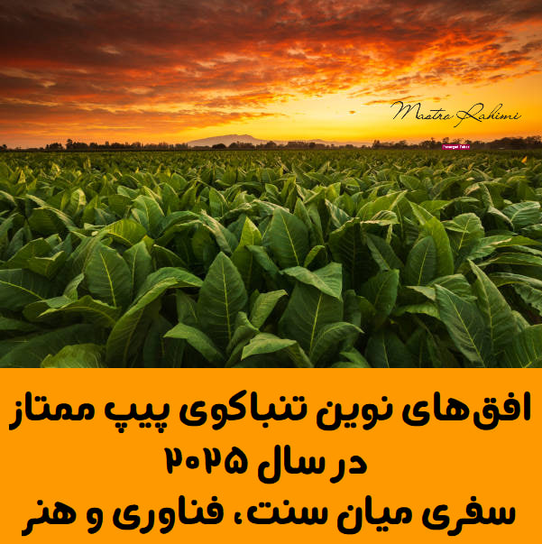 افقهای نوین تنباکوی پیپ ممتاز در سال ۲۰۲۵: سفری میان سنت، فناوری و هنر