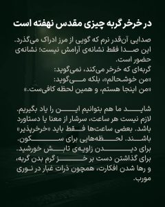 آلبرت کامو؛ نویسنده، فیلسوف، عاشق پیپ و سیگار، و دوست وفادار گربه‌ها