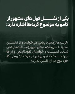 آلبرت کامو؛ نویسنده، فیلسوف، عاشق پیپ و سیگار، و دوست وفادار گربه‌ها