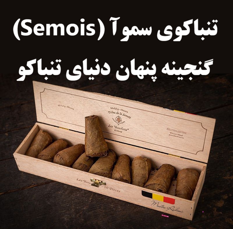 تنباکوی سموآ (Semois): گنجینه پنهان دنیای تنباکو - سفری به قلب تاریخ و طعم‌های فراموش‌ شده