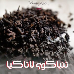 خرید توتون پیپ 12 نگاهی عمیق تر ، جامع تر و کاربردی تر به دنیای تنباکوی لاتاکیا