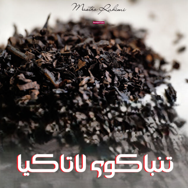 دنیای تنباکوی لاتاکیا: نگاهی عمیق تر ، جامع تر و کاربردی تر 43 نگاهی عمیق تر ، جامع تر و کاربردی تر به دنیای تنباکوی لاتاکیا