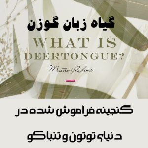 خرید توتون پیپ 11 گیاه زبان گوزن : گنجینه فراموش شده در دنیای توتون و تنباکو