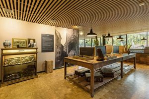 آنتوان گرنارد و چاکوم : میراث دو قرن هنر پیپسازی در قلب سنکلود 3 آنتوان گرنارد و چاکوم : میراث دو قرن هنر پیپسازی در قلب سنکلود