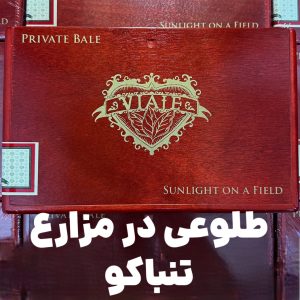 طلوعی در مزارع تنباکو : بازگشت حمکی و رونمایی از "نور خورشید بر مزارع" توسط ویاژه