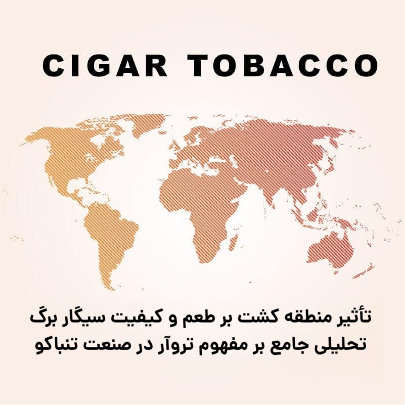 تأثیر منطقه کشت بر طعم و کیفیت سیگار برگ : تحلیلی جامع بر مفهوم تروآر در صنعت تنباکو