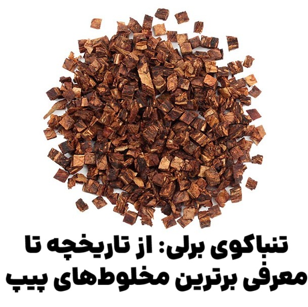 تنباکوی برلی: از تاریخچه تا معرفی برترین مخلوطهای پیپ