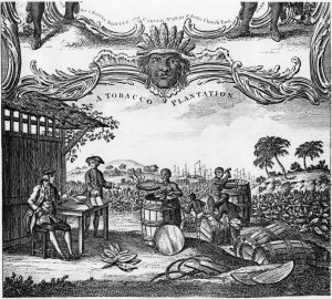 توتون ، برده‌ داری و شکل‌ گیری اقتصاد سیاسی جنوب آمریکا : تحلیلی تاریخی