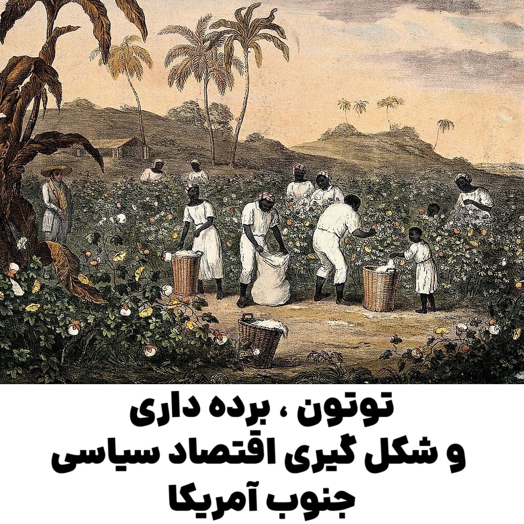 توتون ، برده‌ داری و شکل‌ گیری اقتصاد سیاسی جنوب آمریکا : تحلیلی تاریخی