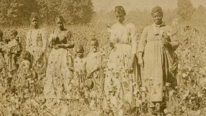 توتون ، برده‌ داری و شکل‌ گیری اقتصاد سیاسی جنوب آمریکا : تحلیلی تاریخی