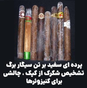 پرده‌ ای سفید بر تن سیگار برگ : تشخیص شکرک از کپک ، چالشی برای کنیزوئرها