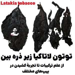 توتون لاتاکیا زیر ذره بین : از علم ترکیبات تا تجربهٔ کشیدن در پیپهای مختلف Latakia tobacco